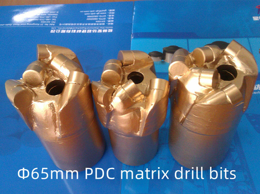 Uso della miniera di carbone del diametro 65mm del tagliente del corpo PDC della matrice del certificato ISO9001